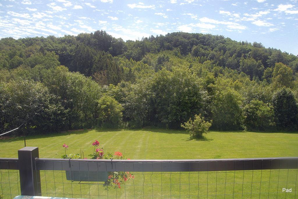 La Cle Des Champs Villa Bertogne Eksteriør billede